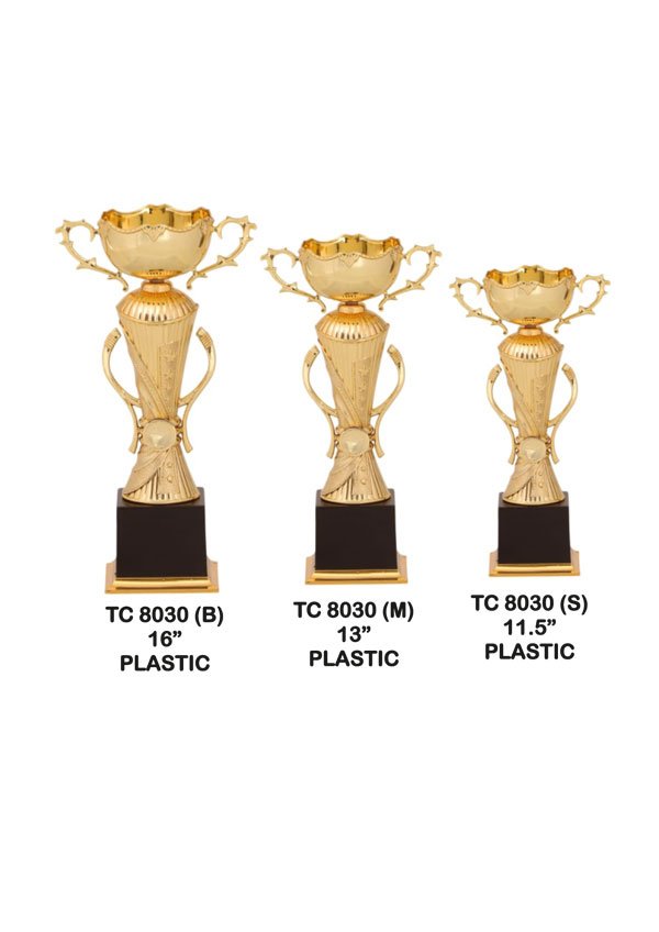 Award Manufacturer in Delhi