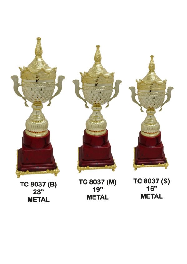 Award Manufacturer in Delhi