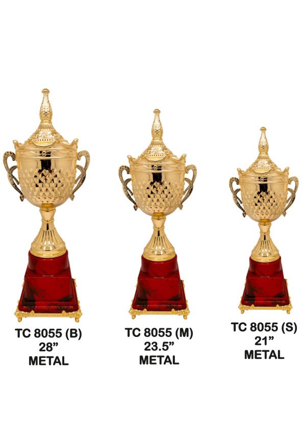 Award Manufacturer in Delhi