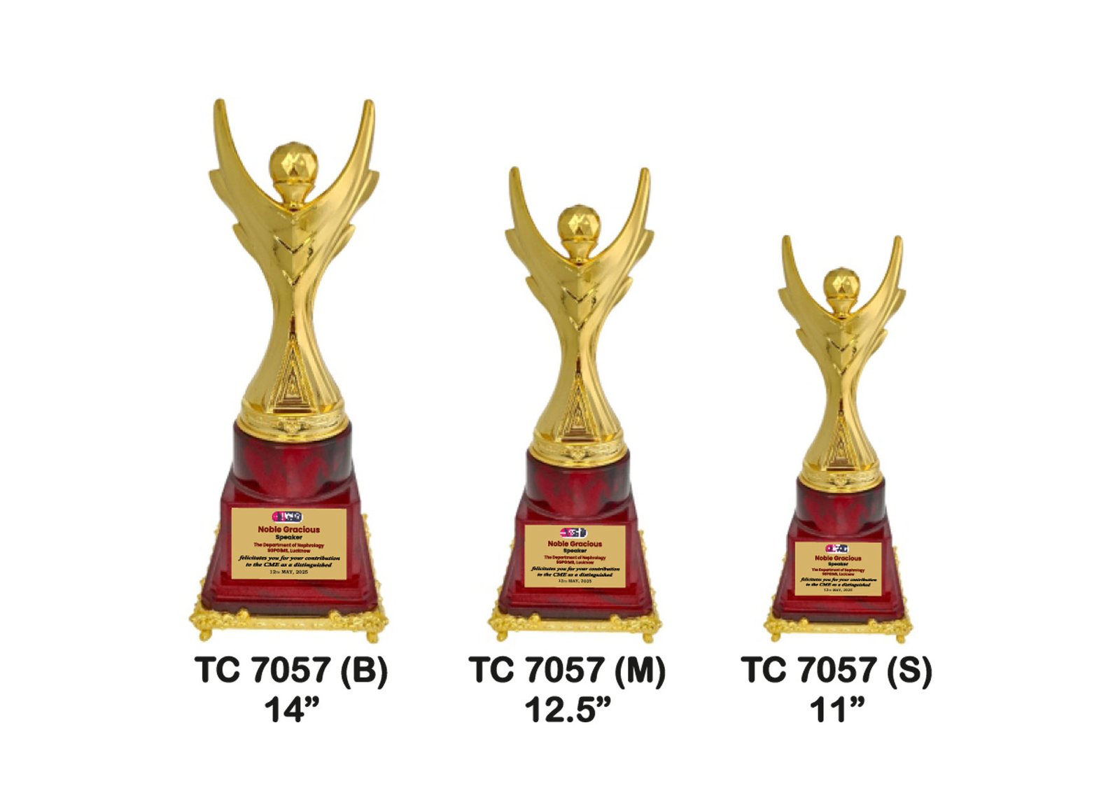 Award Manufacturer in Delhi