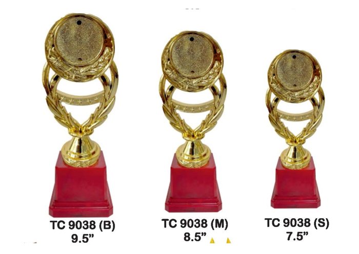 Award Manufacturer in Delhi
