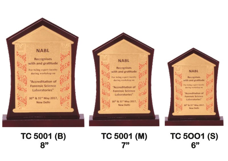 Award Manufacturer in Delhi