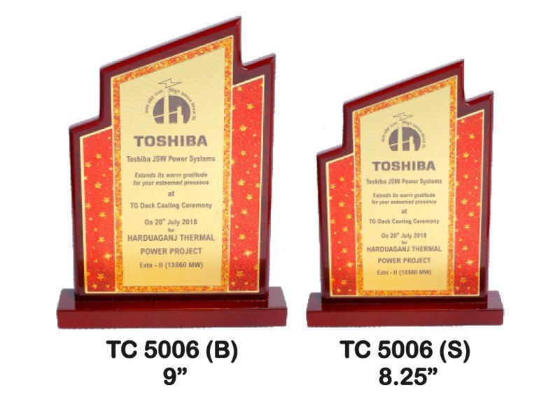 Award Manufacturer in Delhi