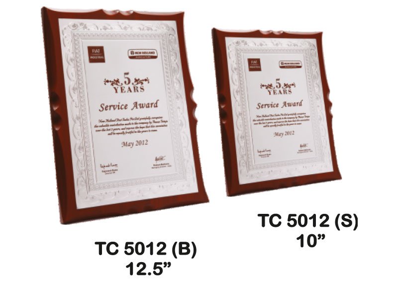 Award Manufacturer in Delhi