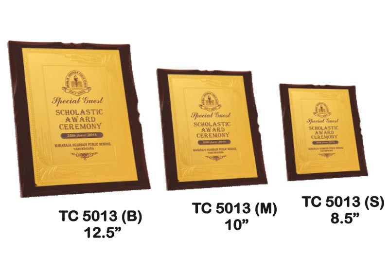 Award Manufacturer in Delhi