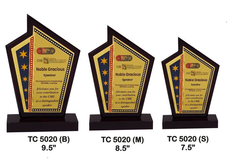Award Manufacturer in Delhi