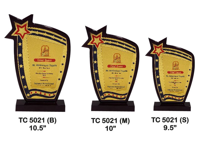 Award Manufacturer in Delhi