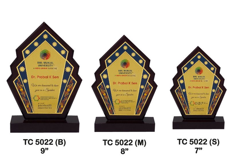 Award Manufacturer in Delhi