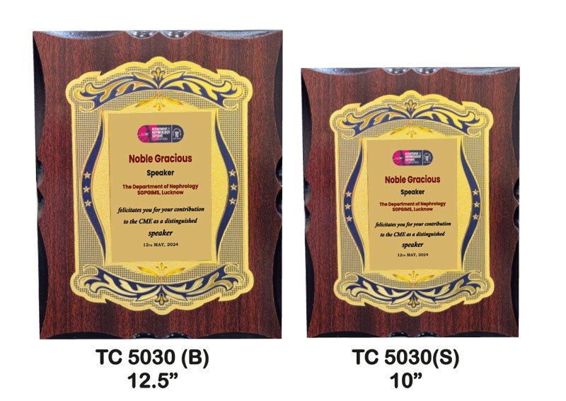 Award Manufacturer in Delhi