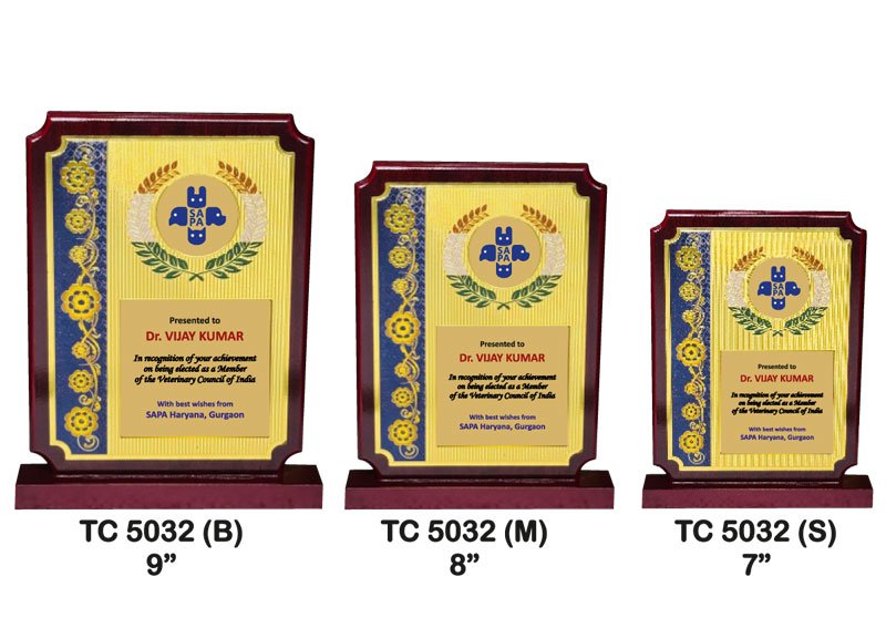 Award Manufacturer in Delhi