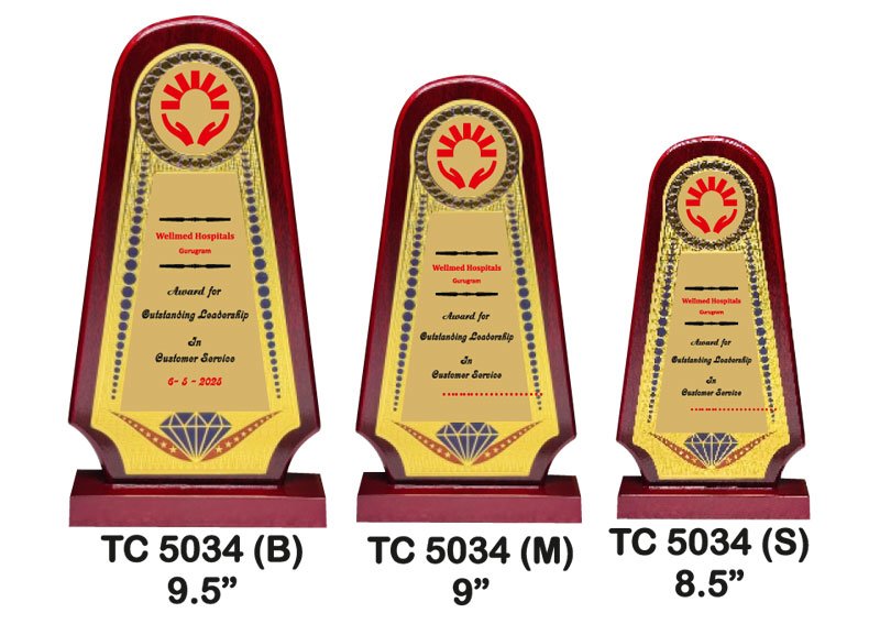 Award Manufacturer in Delhi