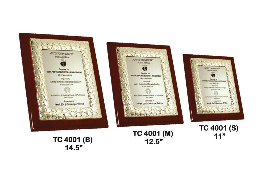 Metal Frame Trophy in Delhi