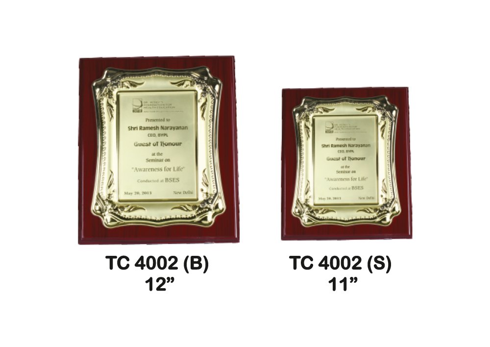 Metal Frame Trophy in Delhi