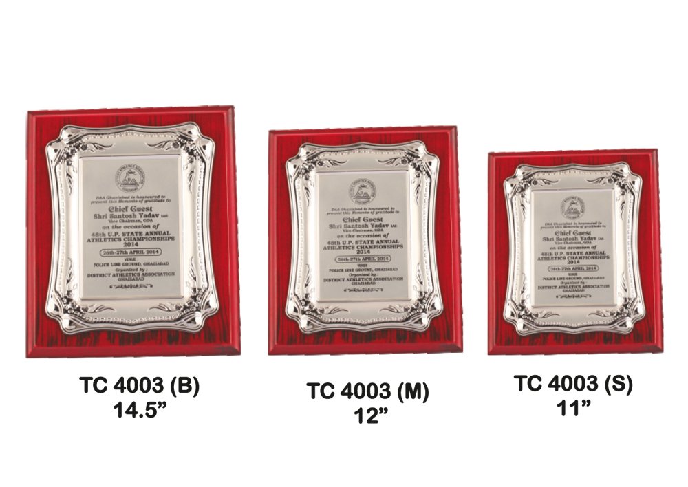 Metal Frame Trophy in Delhi