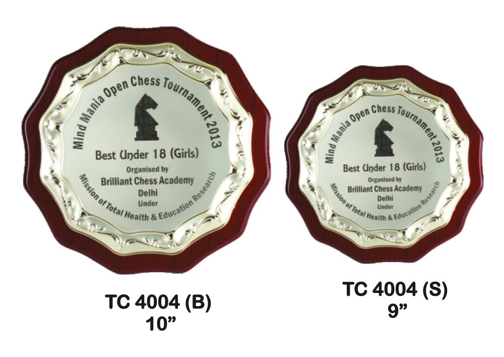 Metal Frame Trophy in Delhi