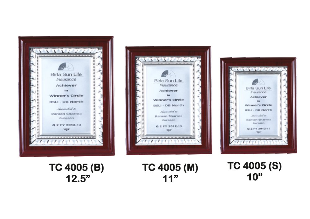 Metal Frame Trophy in Delhi