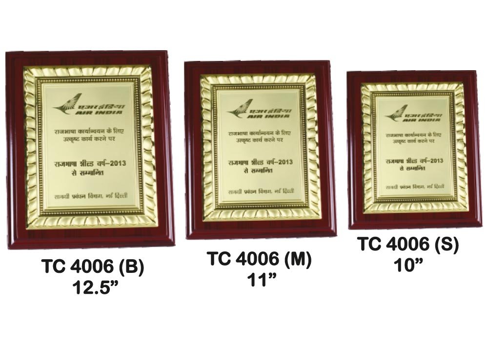 Metal Frame Trophy in Delhi