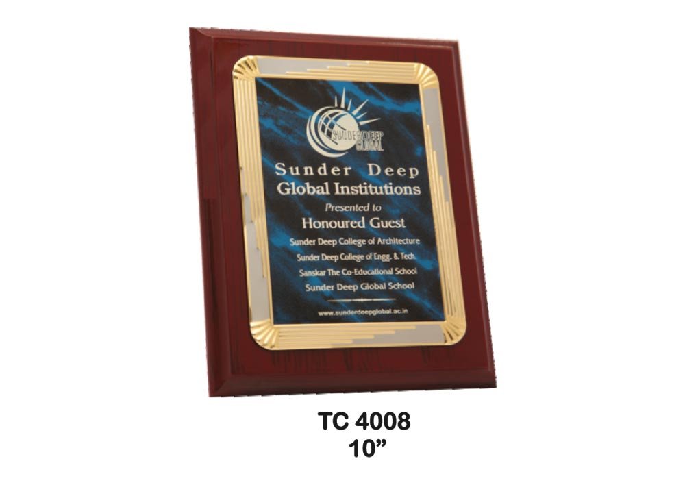 Metal Frame Trophy in Delhi