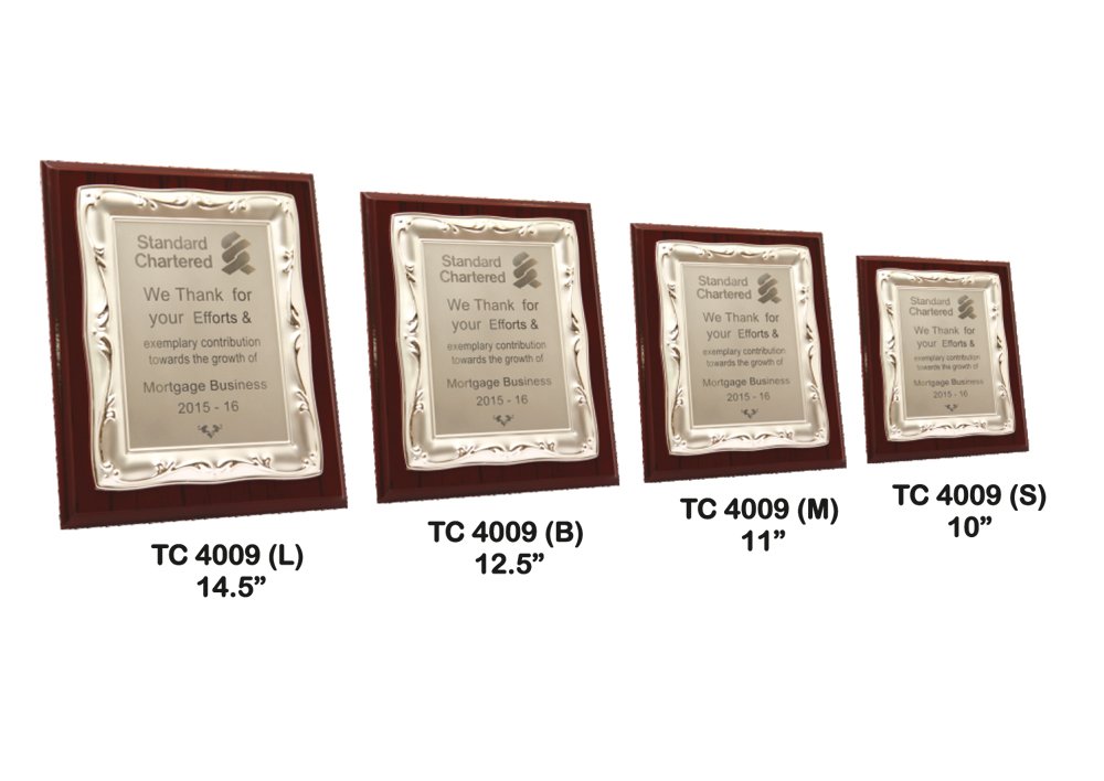 Metal Frame Trophy in Delhi