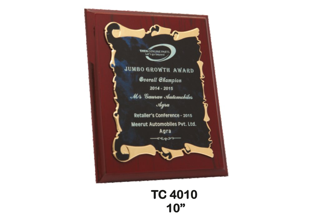 Metal Frame Trophy in Delhi