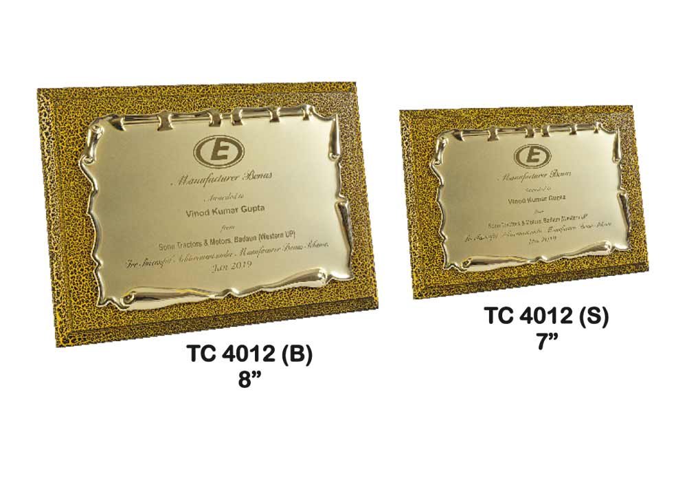 Metal Frame Trophy in Delhi