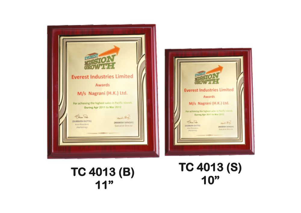 Metal Frame Trophy in Delhi
