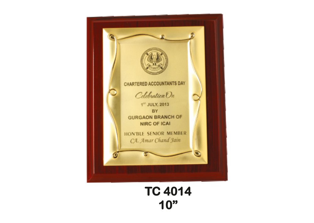 Metal Frame Trophy in Delhi