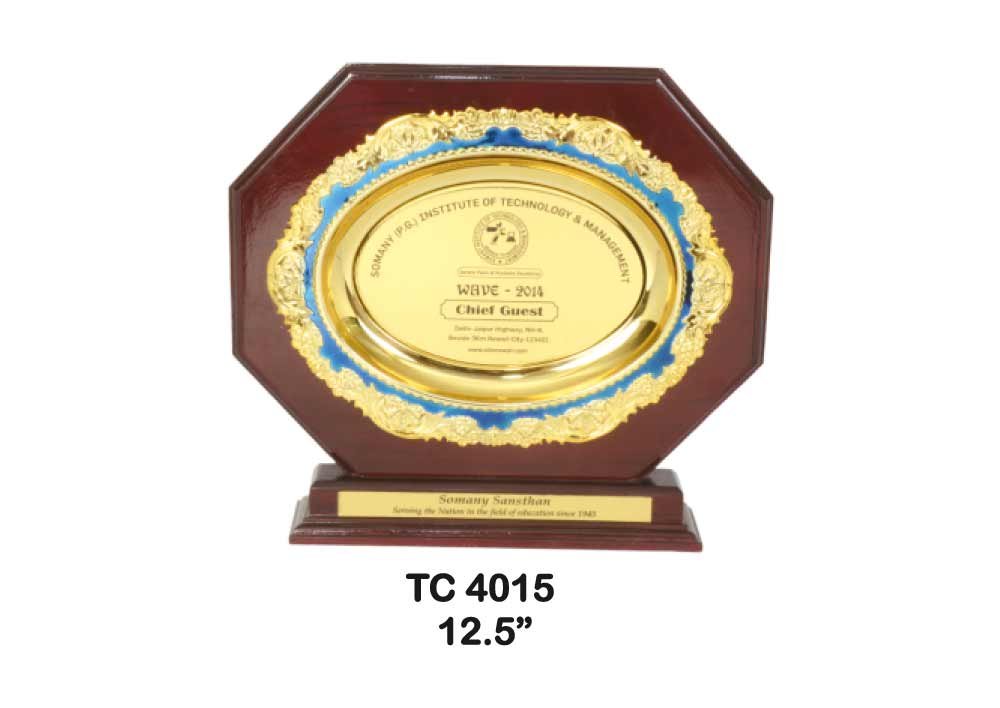 Metal Frame Trophy in Delhi