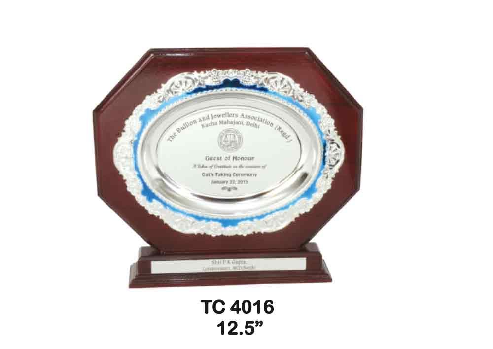Metal Frame Trophy in Delhi