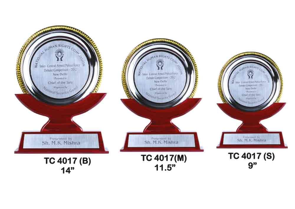 Metal Frame Trophy in Delhi