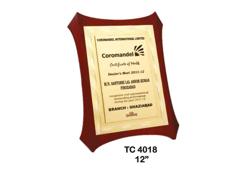Metal Frame Trophy in Delhi