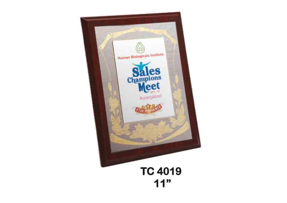 Metal Frame Trophy in Delhi
