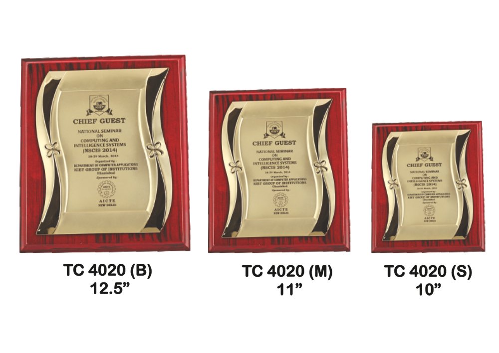 Metal Frame Trophy in Delhi
