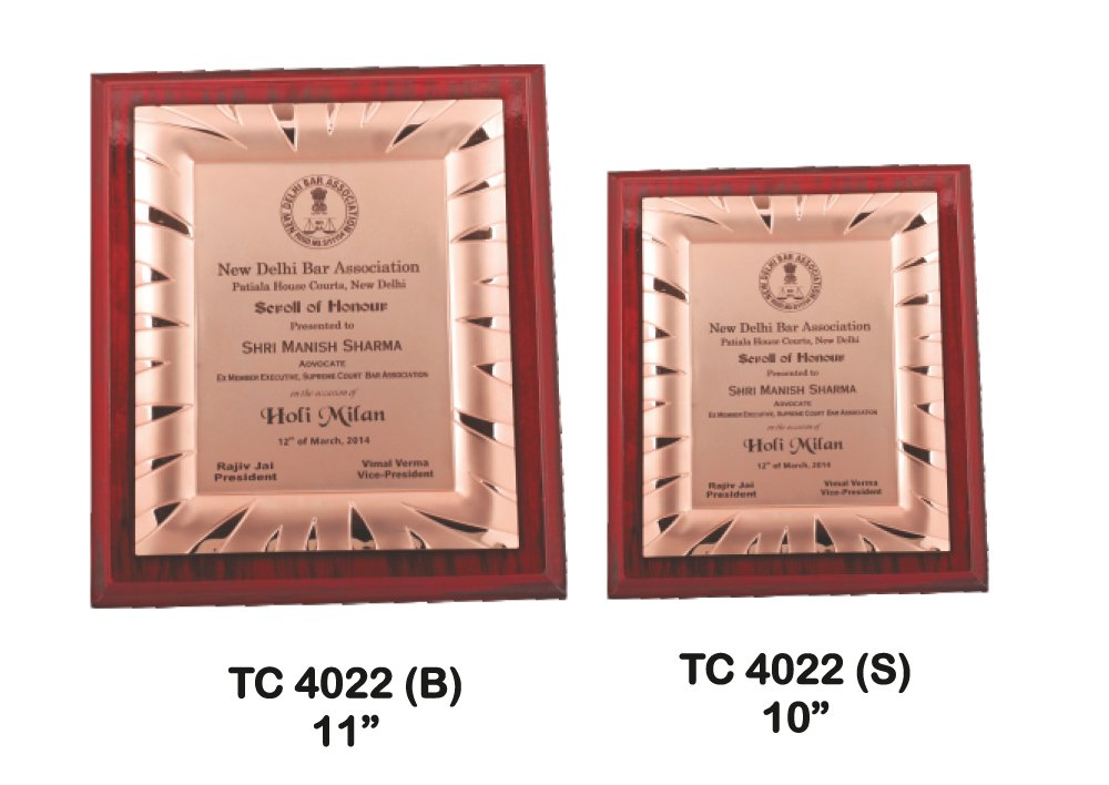 Metal Frame Trophy in Delhi