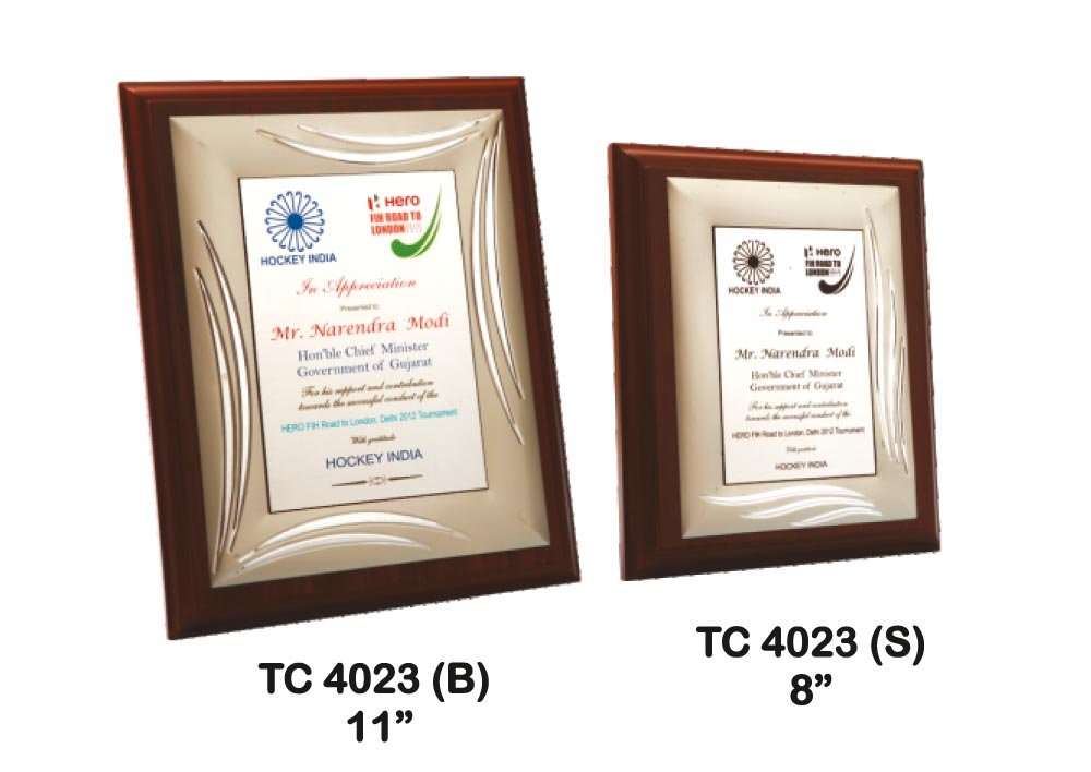 Metal Frame Trophy in Delhi