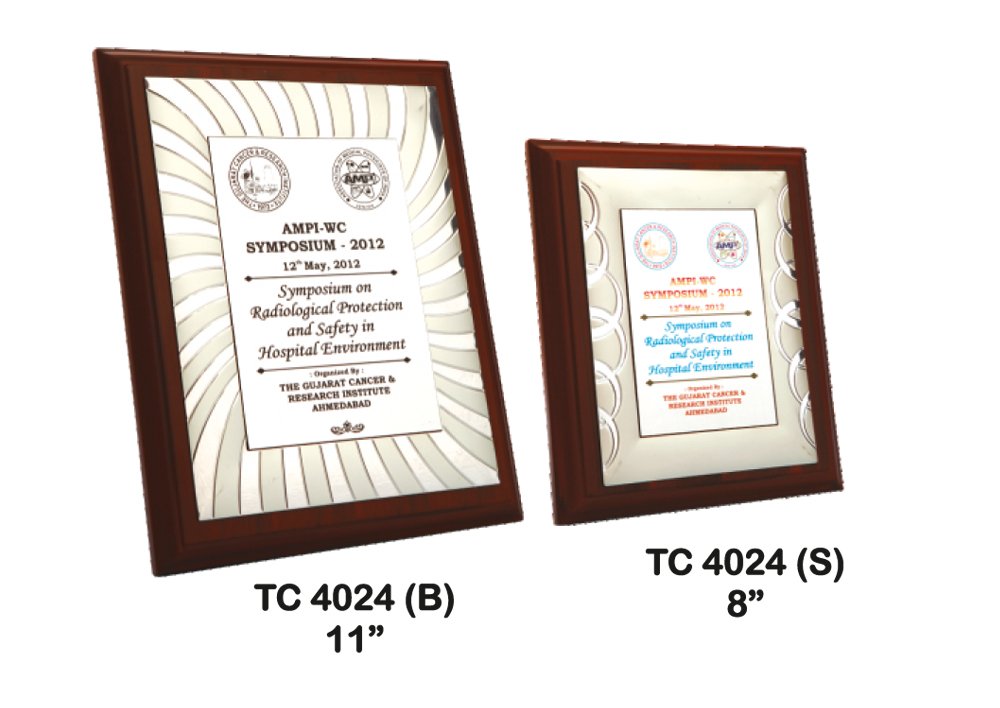Customized medals Manufacturer in Delhi