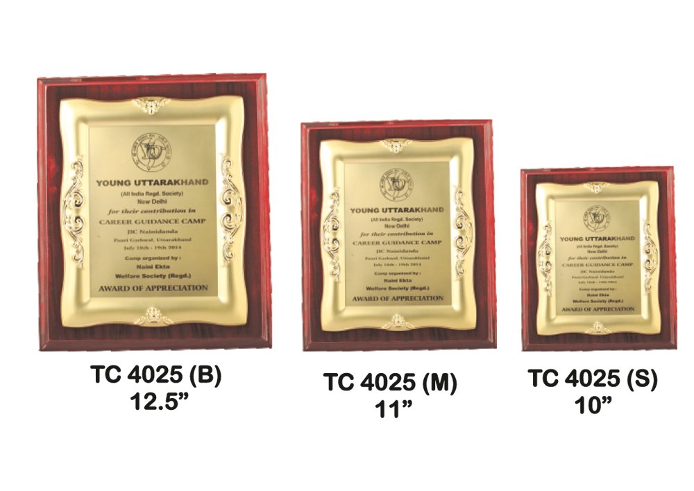 Metal Frame Trophy in Delhi