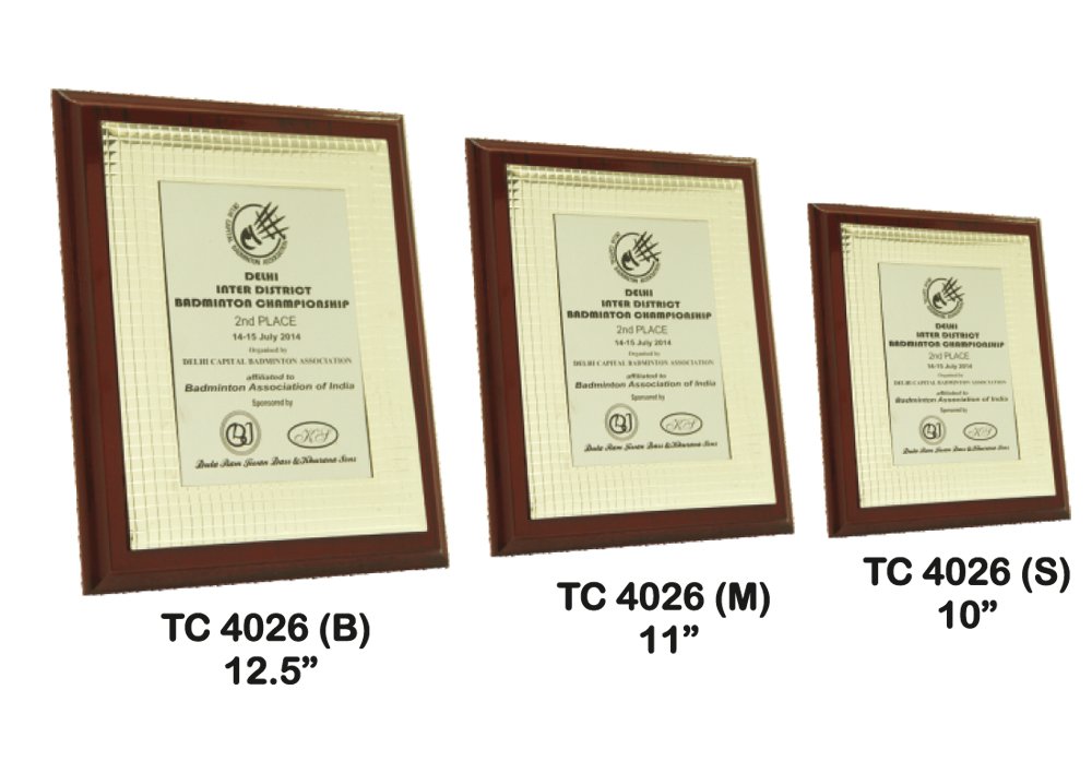 Metal Frame Trophy in Delhi