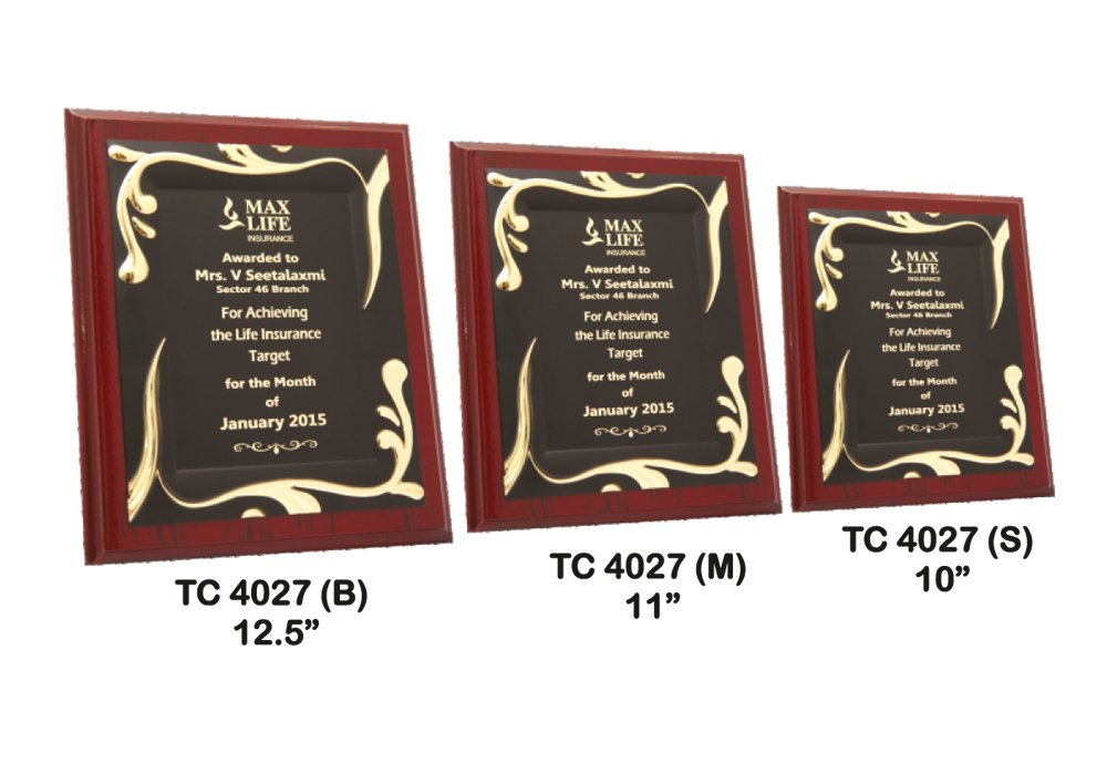 Metal Frame Trophy in Delhi