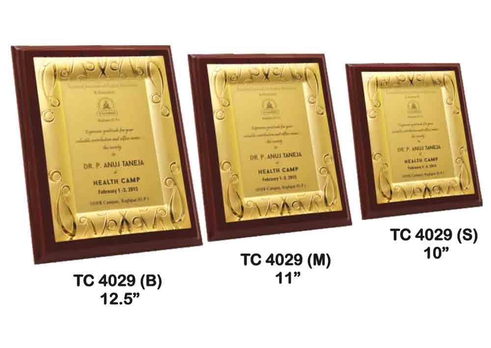 Metal Frame Trophy in Delhi