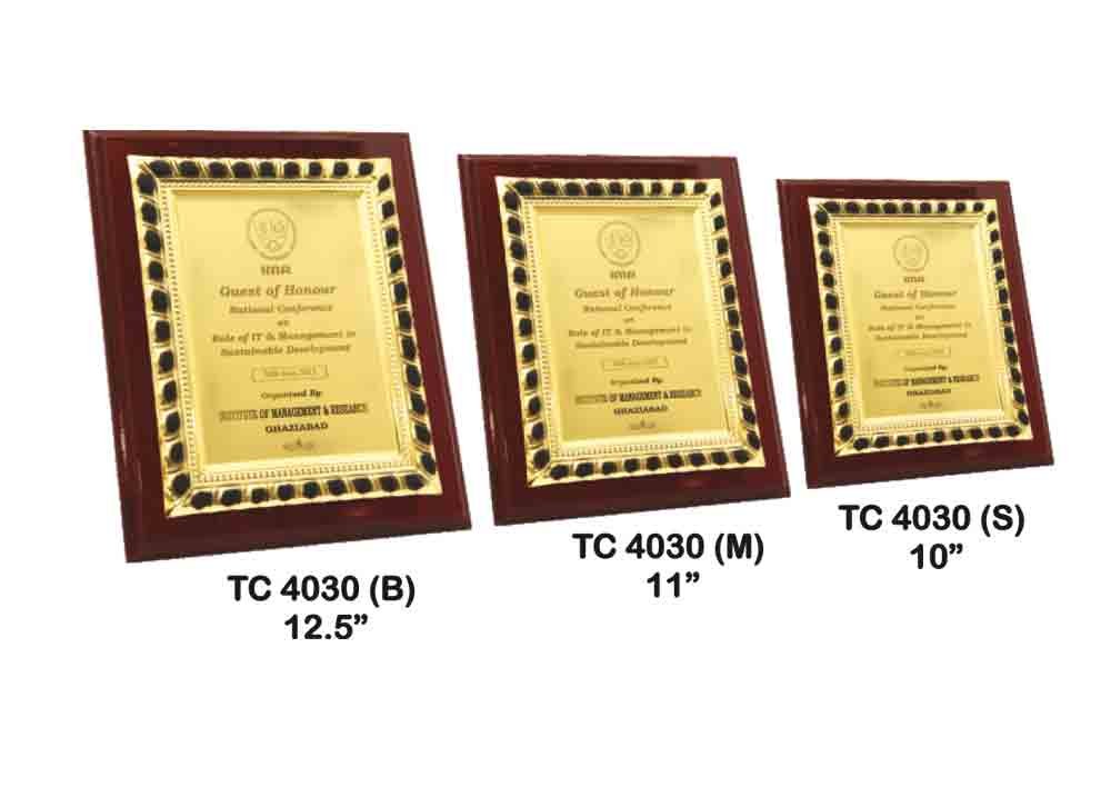 Metal Frame Trophy in Delhi