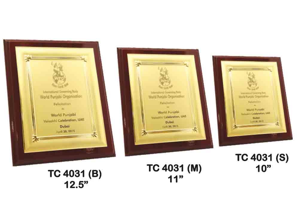 Metal Frame Trophy in Delhi