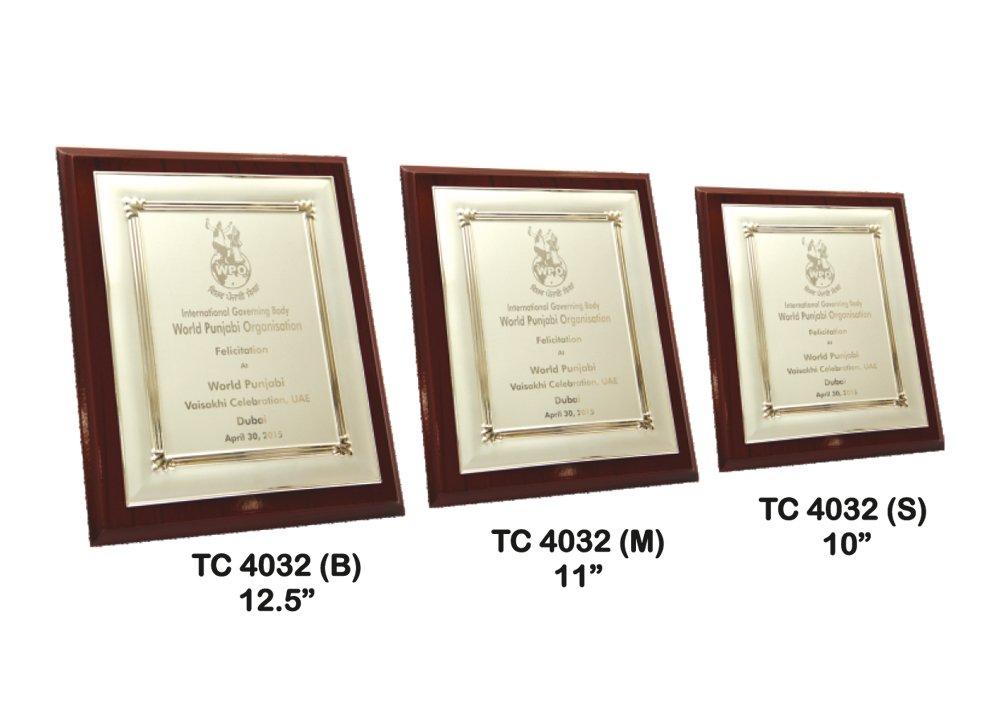 Metal Frame Trophy in Delhi