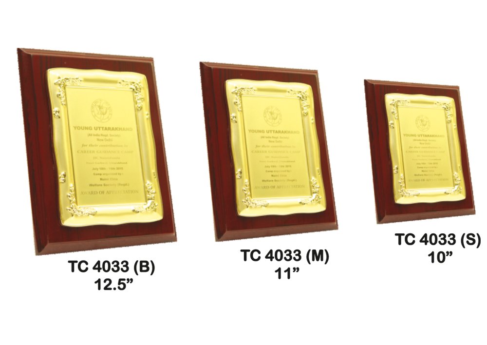 Metal Frame Trophy in Delhi