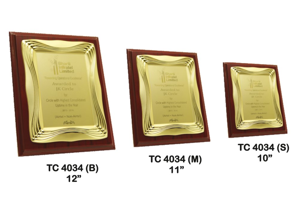 Metal Frame Trophy in Delhi