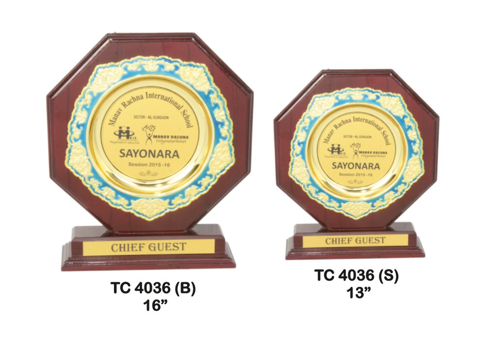 Metal Frame Trophy in Delhi