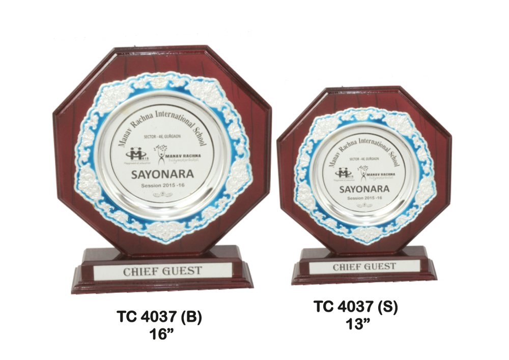Metal Frame Trophy in Delhi