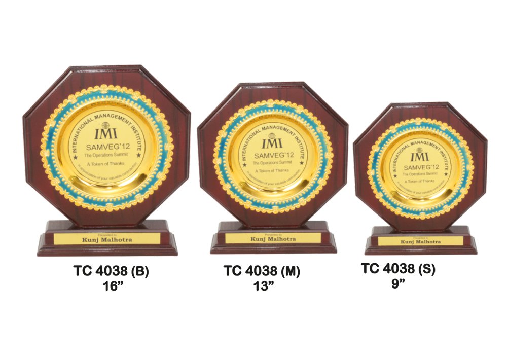 Metal Frame Trophy in Delhi