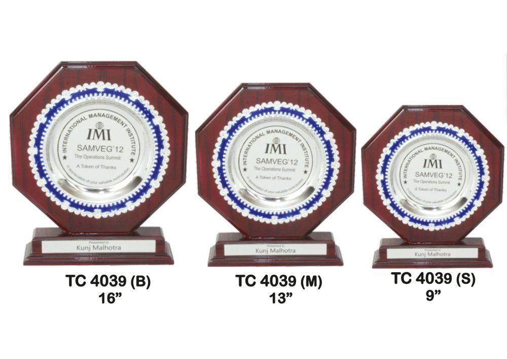 Metal Frame Trophy in Delhi