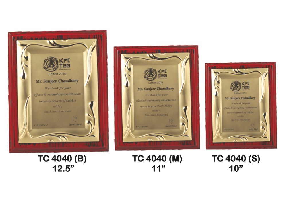Metal Frame Trophy in Delhi